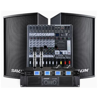 斯維基尼HY-600音響（10英寸號角音箱2只，8路專業(yè)調(diào)音臺臺，600w純后級功放臺，一拖四雙手持雙鵝頸話筒1套）